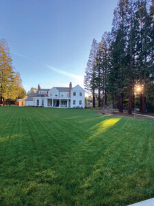 Architects & Designers